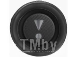 Портативная колонка JBL Flip 6 (черный)