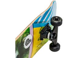 Скейтборд Plank Raccoon P22-SKATE-PACCON