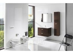 Унитаз подвесной Roca Laura 734630300R + ZRU8013920
