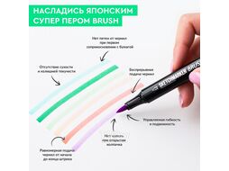 Маркер перм., худ. "Brush Skin Set" двусторонний, набор 12 шт. + сумка-органайзер Sketchmarker SMB-12SKIN