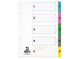 Разделитель на 12 делений А4 "Mylar " карт., с маркир., ассорти Q-Connect KF00163