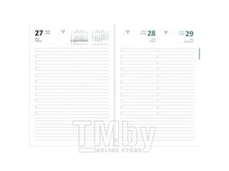 Ежедневник 2024 А5 "Orion" 145*205 мм, 352 стр, черный, 1 ляссе, тв. обл., бумвинил Attomex 2332466