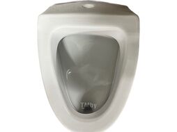 Писсуар Idevit Halley в комплекте с сифоном 29x32x54 Up Water Inlet - Back Water Outlet K0007-0306-001-1-0000+3890GZ50B2