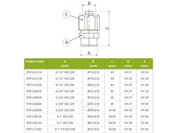 Муфта с внешней резьбой Ape 701 L 3/4х20 (3701L03420)