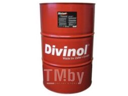 Масло моторное DIVINOL SYNTHOLIGHT 505.01 5W-40 200л DIVINOL 49610-K004