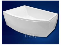 Ванна акриловая VagnerPlast Veronela 160x105 L / VPBA160VEA3LX-04 (с каркасом и экраном)
