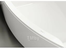 Ванна акриловая VagnerPlast Veronela 160x105 L / VPBA160VEA3LX-04 (с каркасом и экраном)
