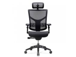Кресло Ergostyle Vista T-01 черный (VSM01)