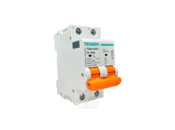 Выключатель автоматический TGBG-63DC, 2P, 10A, хар-ка C, 6kA, 250VDC на полюс, 2M TENGEN TGBG-63DC-2-10-C