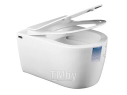 Инсталляция Eccellenza tecnica с белой кнопкой (прямоугольная) и унитазом Idevit Alfa Rimless с сиденьем Ultra 152.4.501.8088 + 152.7.320.088 + SETK3104-2616-001-1-6000