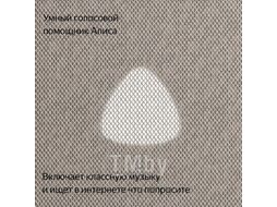 Умная колонка Яндекс Станция Макс с Zigbee YNDX-00053E (бежевый)