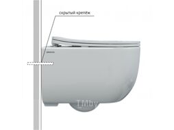 Унитаз подвесной с инсталляцией Berges Ventas Rimless / 082135 + AM.PM Pro C I012707.0201