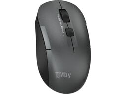 Мышь A4Tech Fstyler FG16C Air (серый)