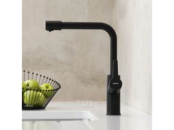 Смеситель Damixa Merkur 710770300 (черный матовый)