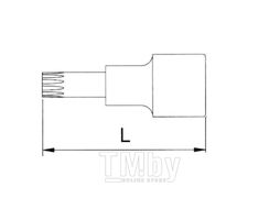 Головка торцевая с вставкой spline 1/2" M5 L=55 мм Licota H4RM05