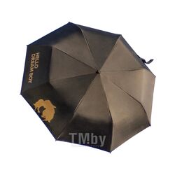 Зонт Dreame DREAM BOY Collectible Series Umbrella for All Weather Black