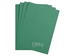 Бумага цветная "Maya" 50*70 см 270г/м2, т-синий Clairefontaine 397257C