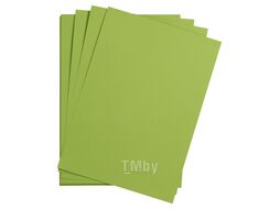 Бумага цветная "Maya" 50*70 см 270г/м2, т-синий Clairefontaine 397257C