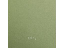 Бумага цветная "Maya" А4 120г/м2, бирюзовый Clairefontaine 97369C