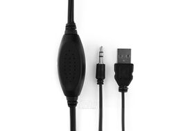 Колонки USB 2.0 6Вт МДФ, черный цвет, регулятор громкости Gembird SPK-203