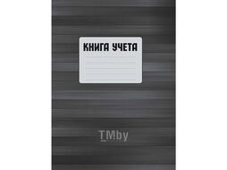 Книга канцеляр. А4 210*297 мм, 100 л., в клетку обл. ламинир. карт., серый/голубой Колор 11с001/2443/2499/2570