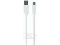 Кабель USB3 Type-C Type-C (A-папа/C-папа), white, 0.1m CablExpert Gembird CCP-USB3-AMCM-W-0.1M