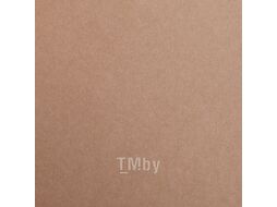 Бумага цветная "Maya" 50*70 см 270г/м2, св.-коричневый Clairefontaine 397274C