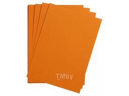 Бумага цветная "Maya" 50*70 см 270г/м2, св.-коричневый Clairefontaine 397274C