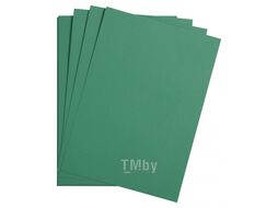 Бумага цветная "Maya" 50*70 см 270г/м2, св.-коричневый Clairefontaine 397274C