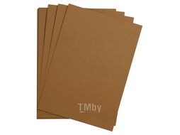 Бумага цветная "Maya" 50*70 см 270г/м2, св.-коричневый Clairefontaine 397274C