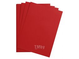 Бумага цветная "Maya" 50*70 см 270г/м2, св.-коричневый Clairefontaine 397274C