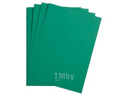 Бумага цветная "Maya" А4 120г/м2, т.-зеленый Clairefontaine 97351C
