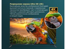 Телевизор MAUNFELD MLT43USD02