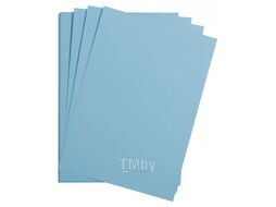 Бумага цветная "Maya" 50*70 см 270г/м2, абрикосовый Clairefontaine 397264C