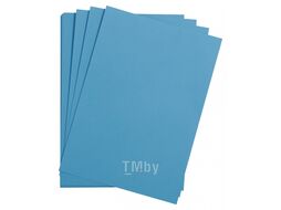 Бумага цветная "Maya" 50*70 см 270г/м2, абрикосовый Clairefontaine 397264C