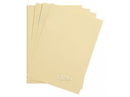 Бумага цветная "Maya" 50*70 см 270г/м2, белый Clairefontaine 397263C