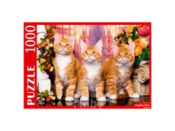 Пазлы 1000 элементов Рыжие Мейн-куны Рыжий кот ШТП1000-1475