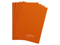 Бумага цветная "Maya" 50*70 см 270г/м2, серый Clairefontaine 397262C