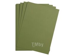 Бумага цветная "Maya" А4 120г/м2, хаки Clairefontaine 97370C