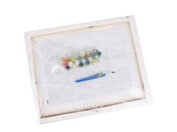 Набор для творчества "Рисование по номерам" 40*50см Мост Золотые ворота Darvish DV-4355-49