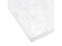 Набор для творчества "Рисование по номерам" 40*40см Беркут Darvish DV-4356-75