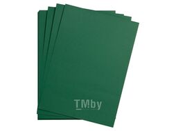 Бумага цветная "Maya" А4 120г/м2, зеленый Clairefontaine 97379C