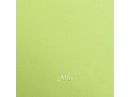 Бумага цветная "Maya" А4 120г/м2, абрикосовый Clairefontaine 97364C