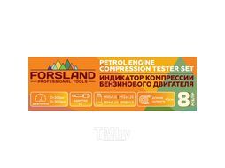 Индикатор компрессии бензинового двигателя Profi 8пр.(0-21Bar, М10, М12, М14, М18 + 2 жестких прижимных адаптера-переходника) , в кейсе Forsland Forsland-908G1