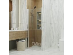Душевая дверь Triton Уно 80x185 (прозрачное стекло)