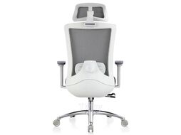 Кресло компьютерное EVOLUTION ERGO PRIME Grey