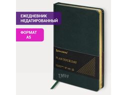 Ежедневник Brauberg Iguana / 114457 (160л, темно-зеленый)