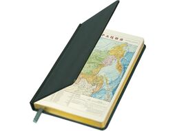 Ежедневник Brauberg Iguana / 114457 (160л, темно-зеленый)