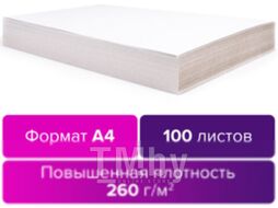 Набор белого картона Brauberg Для подшивки документов / 124877 (100л)