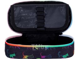 Пенал на 1 отд. "Head rainbow kitty" полиэстер, черный Astra 505023048